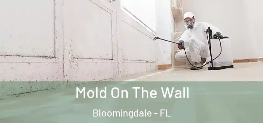  Mold On The Wall Bloomingdale - FL