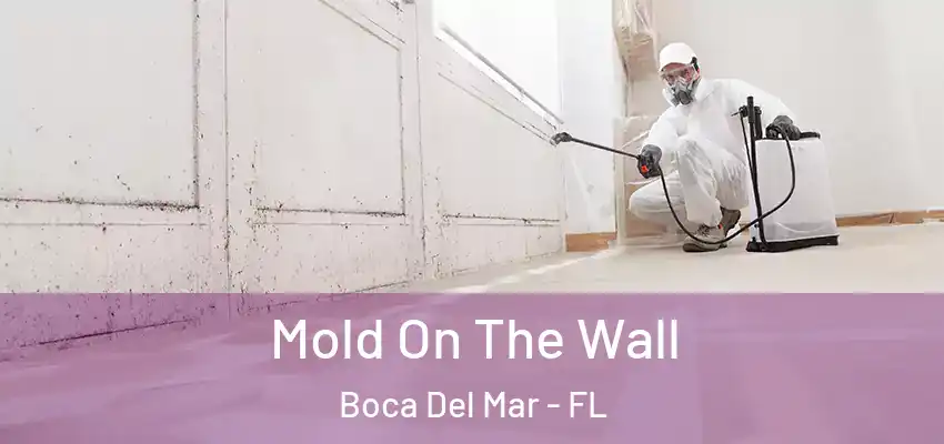 Mold On The Wall Boca Del Mar - FL