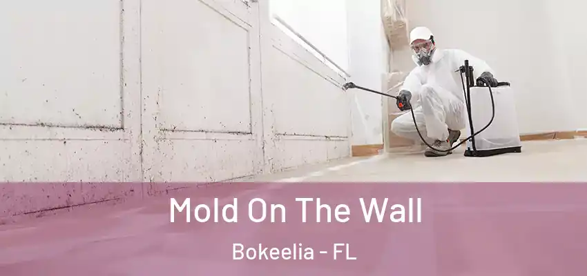  Mold On The Wall Bokeelia - FL