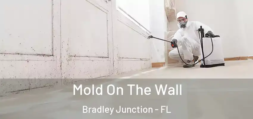  Mold On The Wall Bradley Junction - FL
