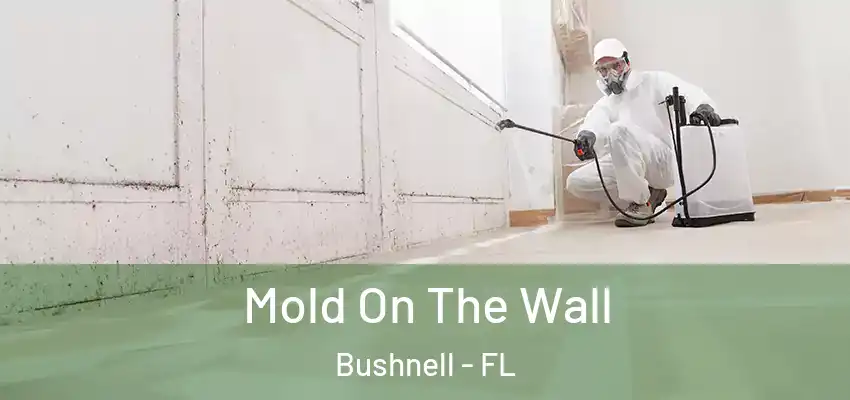  Mold On The Wall Bushnell - FL