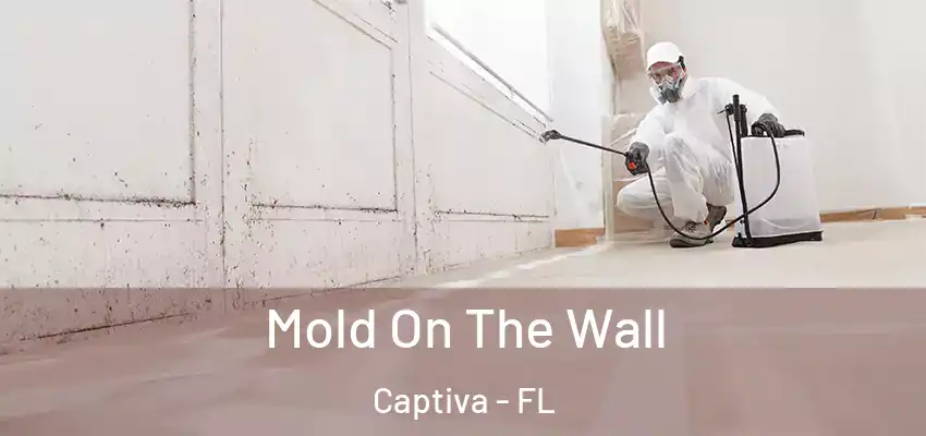 Mold On The Wall Captiva - FL