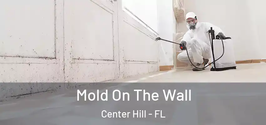 Mold On The Wall Center Hill - FL