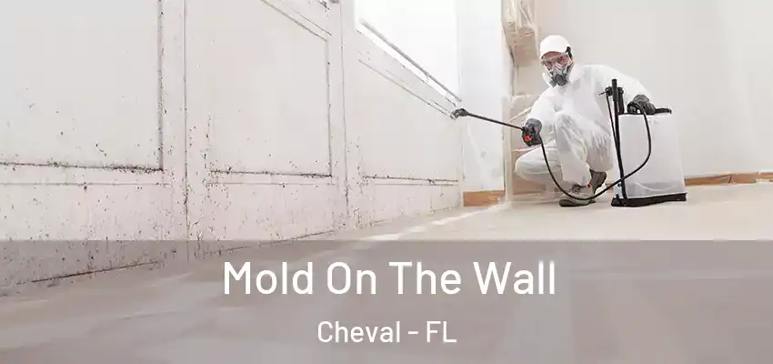  Mold On The Wall Cheval - FL