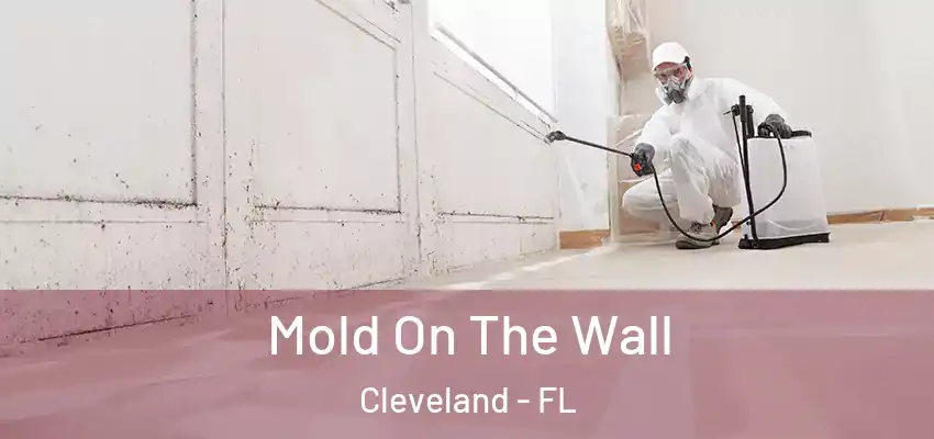 Mold On The Wall Cleveland - FL