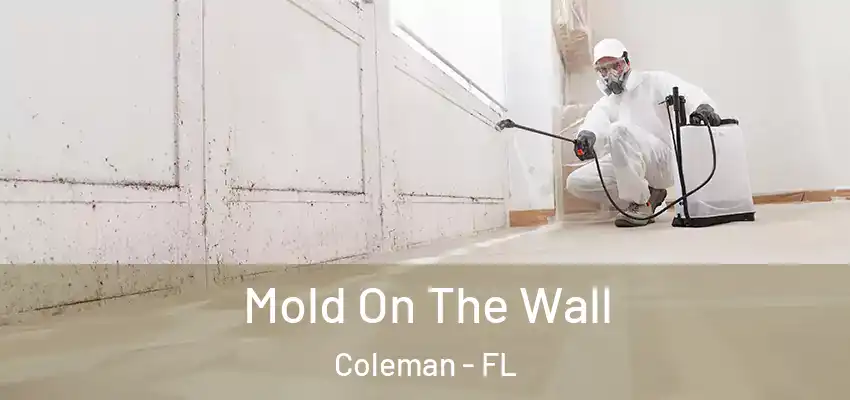  Mold On The Wall Coleman - FL