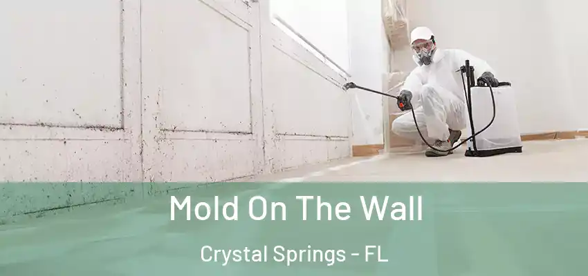  Mold On The Wall Crystal Springs - FL