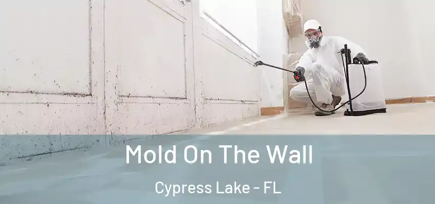  Mold On The Wall Cypress Lake - FL
