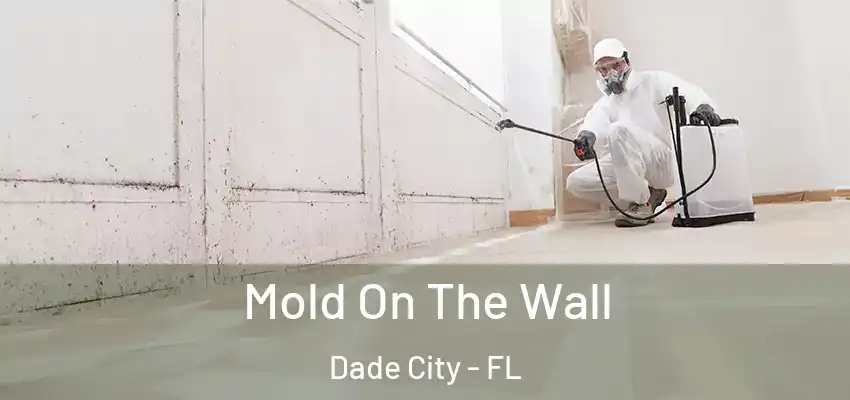 Mold On The Wall Dade City - FL