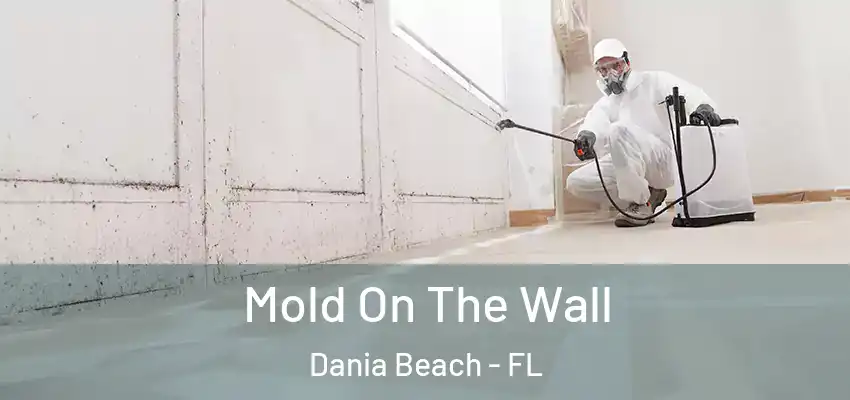 Mold On The Wall Dania Beach - FL