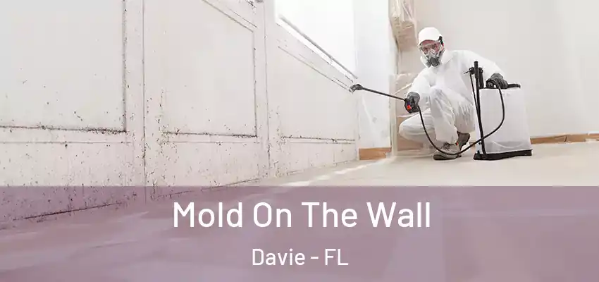  Mold On The Wall Davie - FL