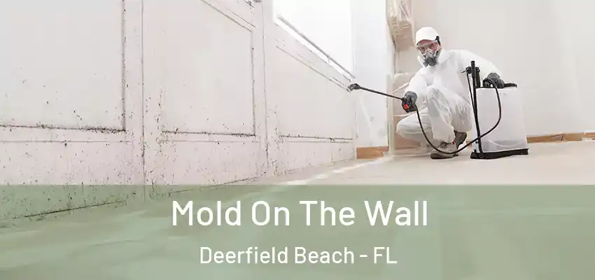  Mold On The Wall Deerfield Beach - FL