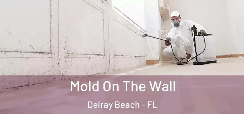  Mold On The Wall Delray Beach - FL