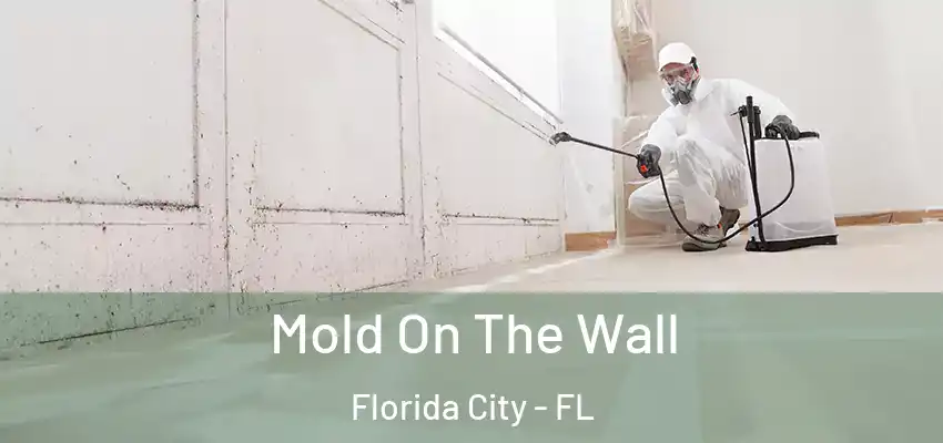  Mold On The Wall Florida City - FL