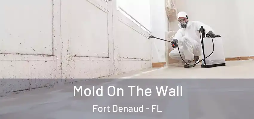  Mold On The Wall Fort Denaud - FL