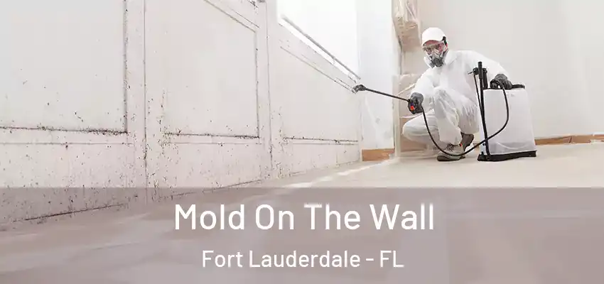  Mold On The Wall Fort Lauderdale - FL