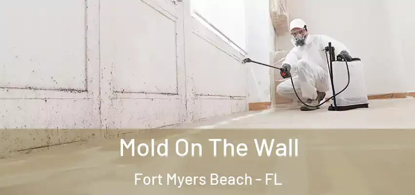 Mold On The Wall Fort Myers Beach - FL