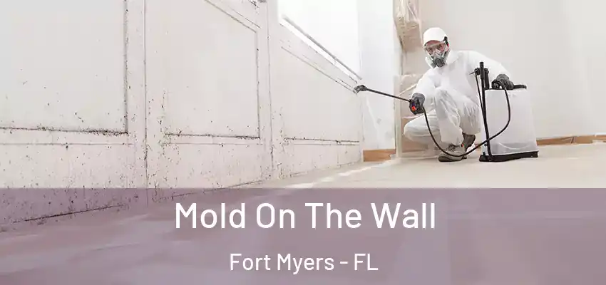  Mold On The Wall Fort Myers - FL
