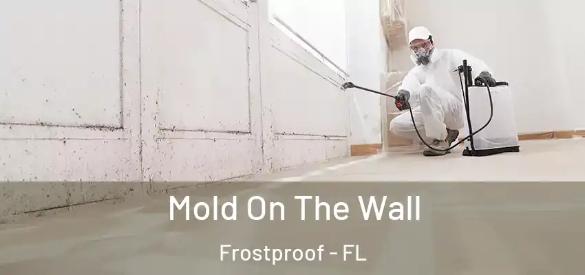 Mold On The Wall Frostproof - FL