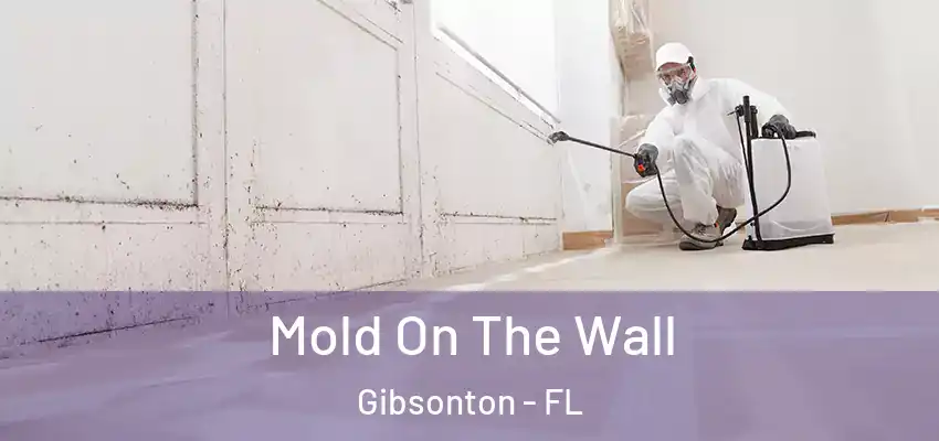  Mold On The Wall Gibsonton - FL