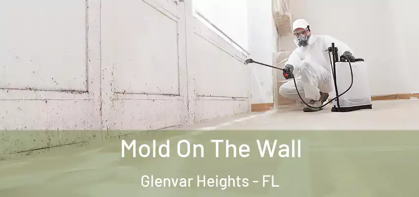 Mold On The Wall Glenvar Heights - FL