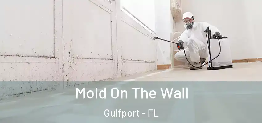  Mold On The Wall Gulfport - FL
