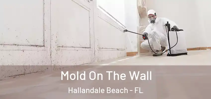 Mold On The Wall Hallandale Beach - FL