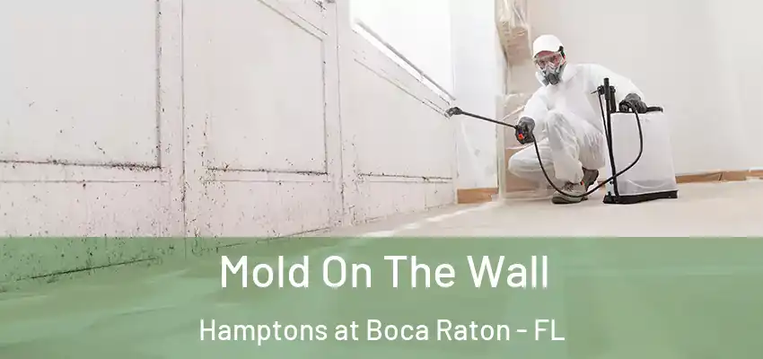  Mold On The Wall Hamptons at Boca Raton - FL