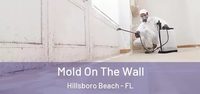 Mold On The Wall Hillsboro Beach - FL