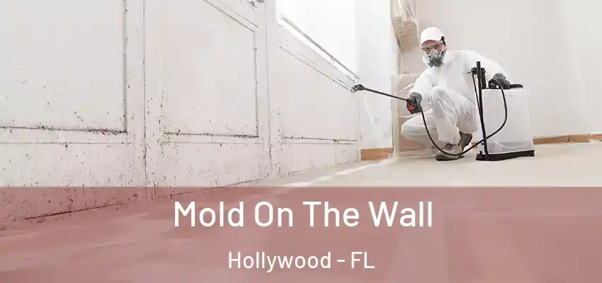  Mold On The Wall Hollywood - FL