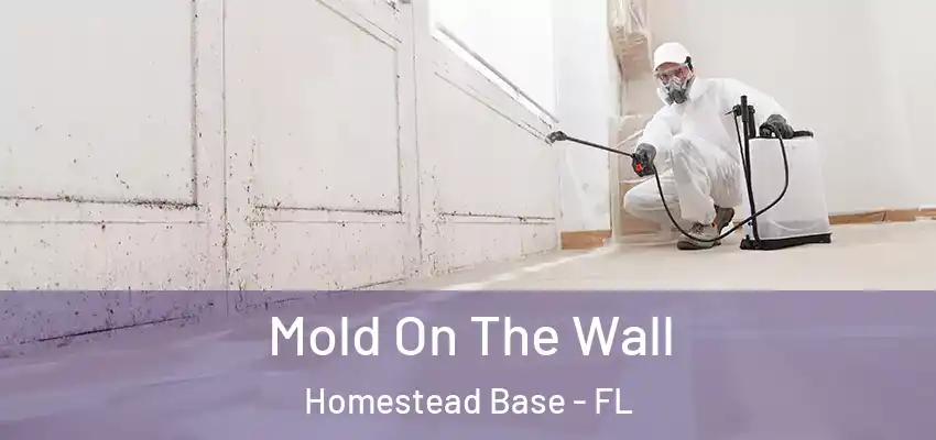  Mold On The Wall Homestead Base - FL