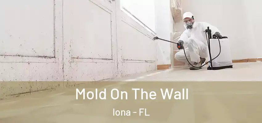 Mold On The Wall Iona - FL
