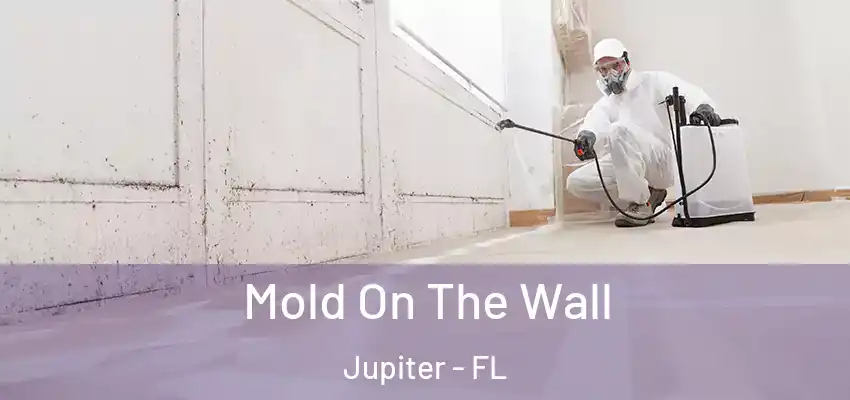  Mold On The Wall Jupiter - FL