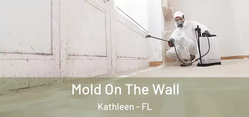  Mold On The Wall Kathleen - FL