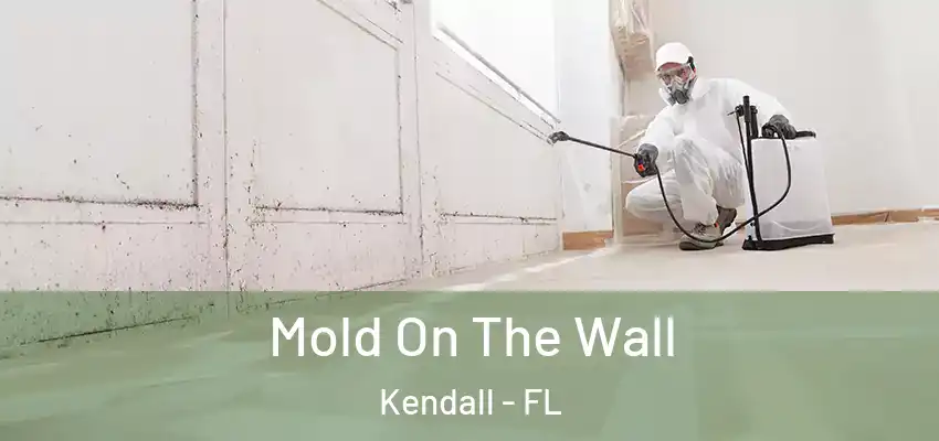 Mold On The Wall Kendall - FL