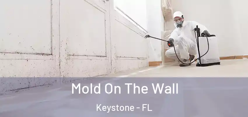 Mold On The Wall Keystone - FL