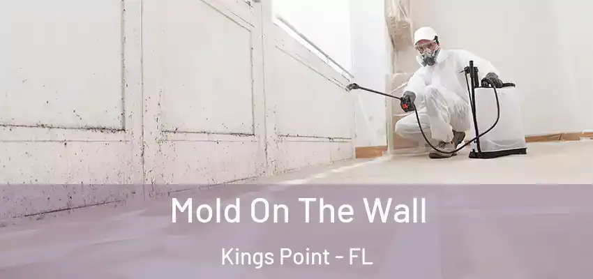 Mold On The Wall Kings Point - FL