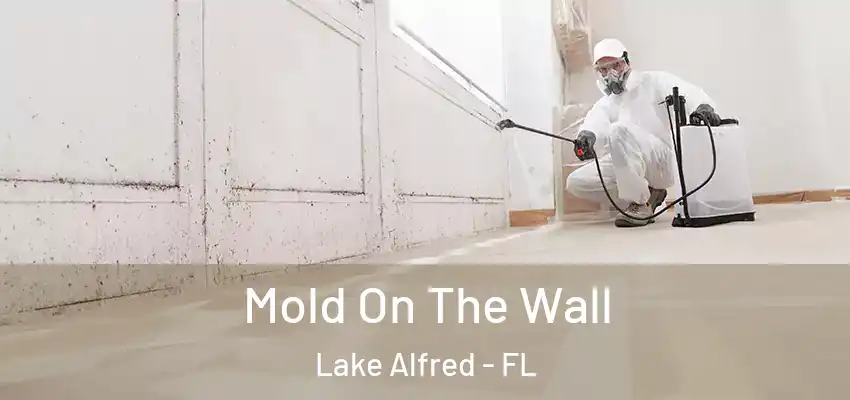 Mold On The Wall Lake Alfred - FL