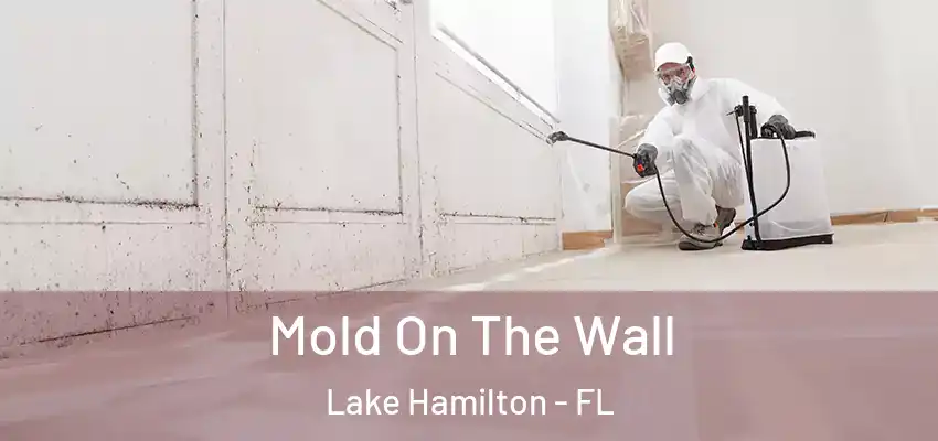  Mold On The Wall Lake Hamilton - FL