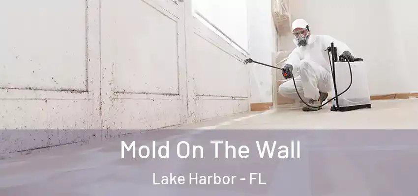 Mold On The Wall Lake Harbor - FL