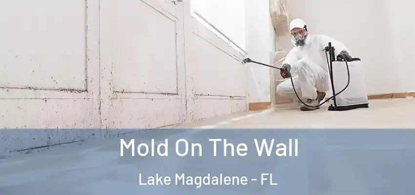 Mold On The Wall Lake Magdalene - FL