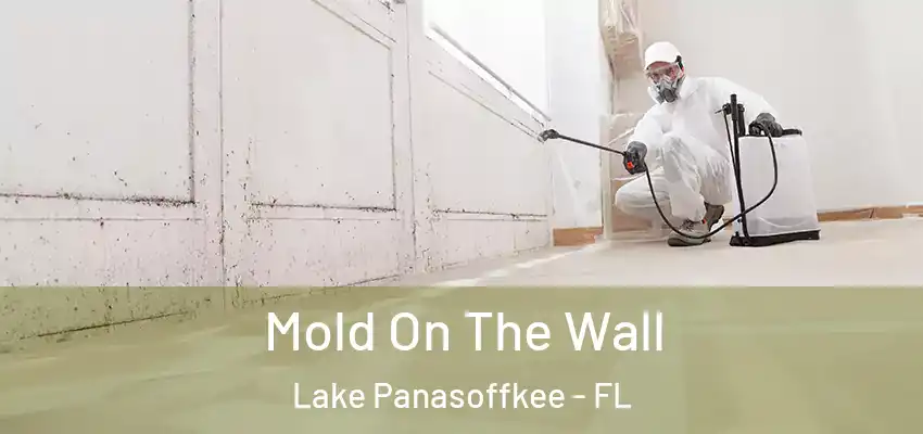  Mold On The Wall Lake Panasoffkee - FL