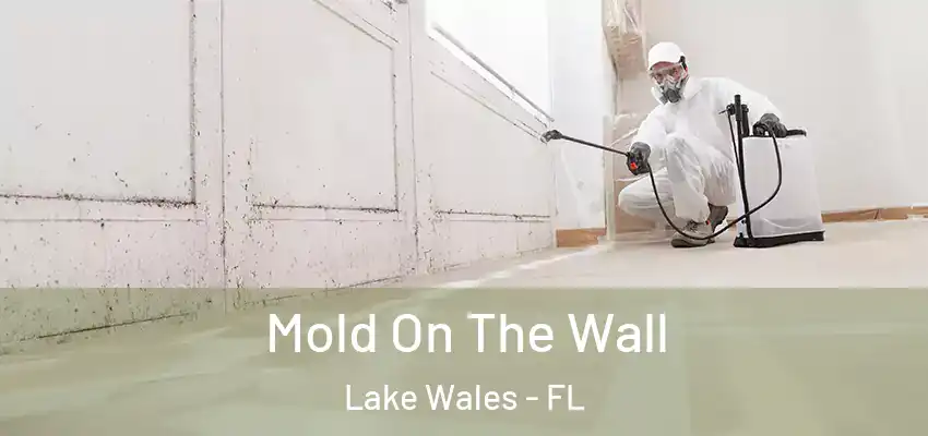  Mold On The Wall Lake Wales - FL