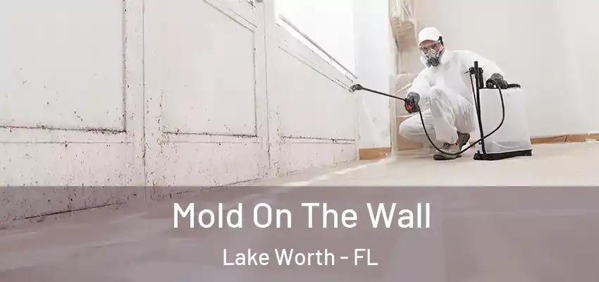  Mold On The Wall Lake Worth - FL