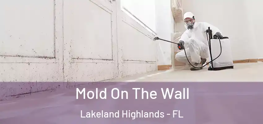  Mold On The Wall Lakeland Highlands - FL