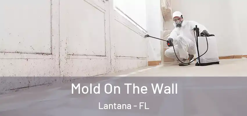 Mold On The Wall Lantana - FL