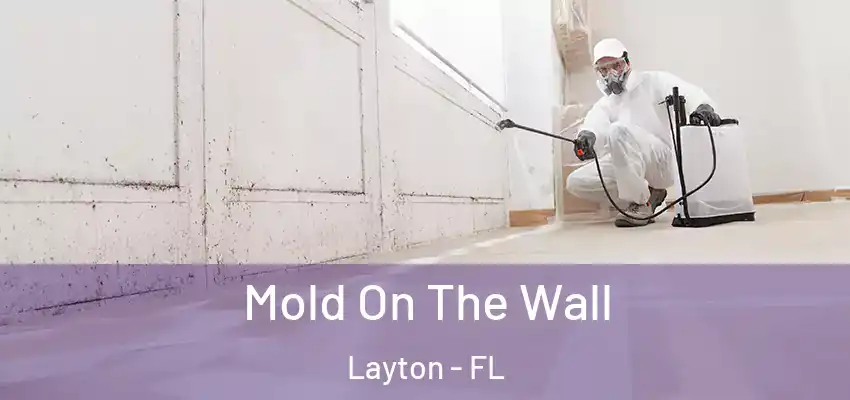 Mold On The Wall Layton - FL