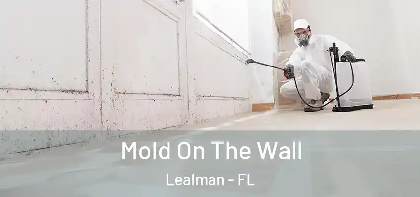 Mold On The Wall Lealman - FL