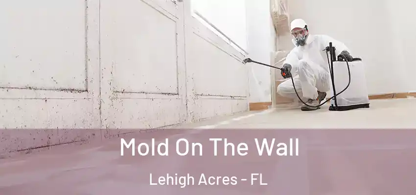  Mold On The Wall Lehigh Acres - FL