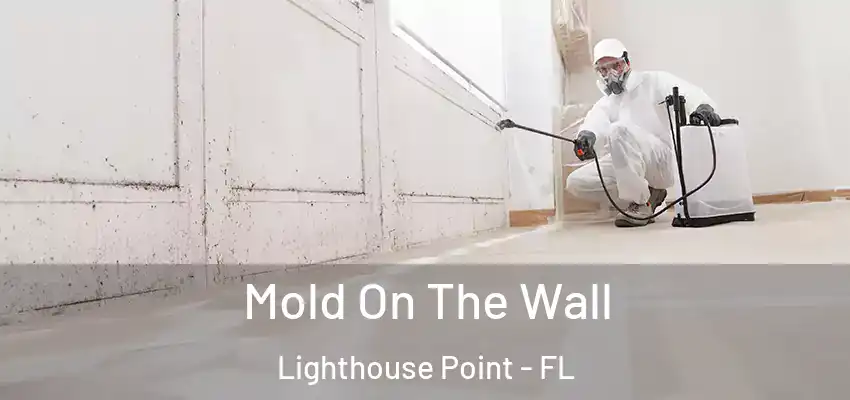 Mold On The Wall Lighthouse Point - FL